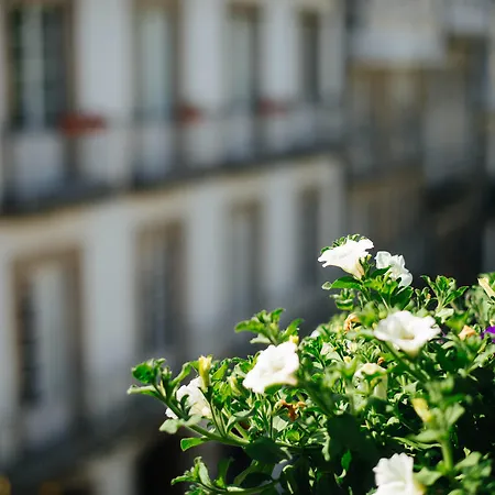 호텔 Arco De Mazarelos