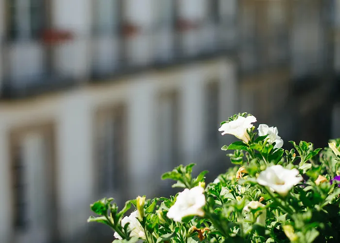 Hotel Arco De Mazarelos